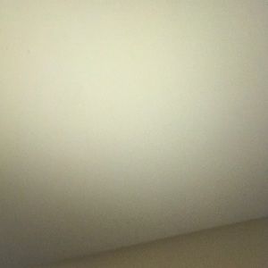 Meet your Posher, Riley